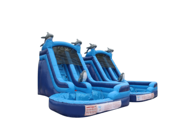 Dolphin Waterslide - Image 2