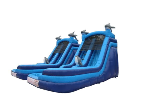 Dolphin Waterslide