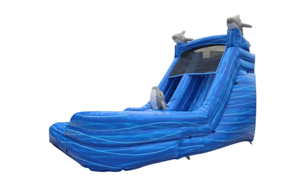 Mega Dolphin Water Slide