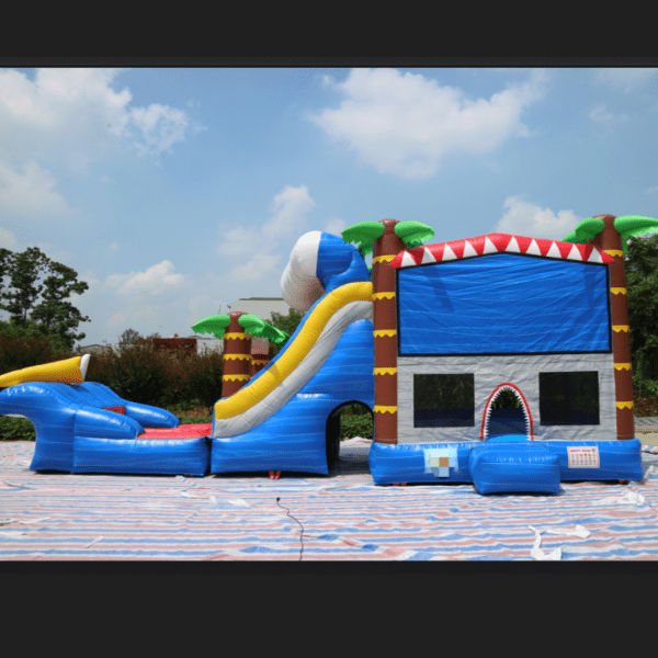 Water Slide Combo #18