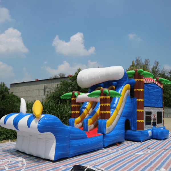 Water Slide Combo #18 - Image 3