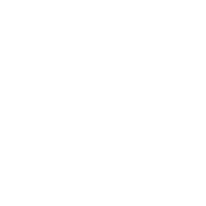 Master Fold Pro